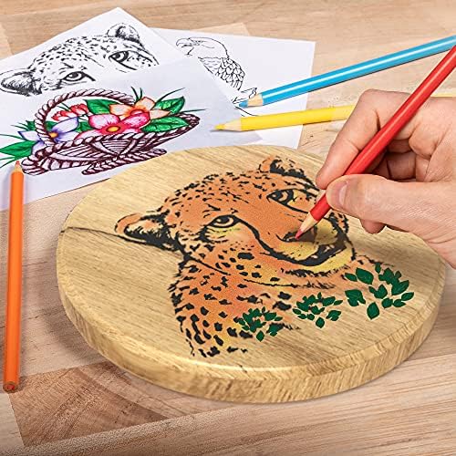 Weller Create Your Own Woodburning Project Kit, 28 Piece - WLPROWB128A - Image 6