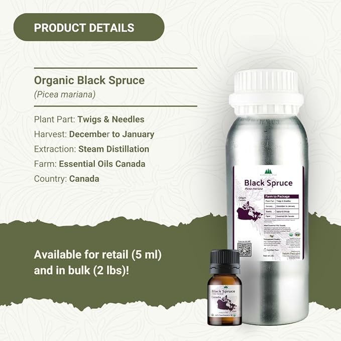 Nature Packaged Organic Black Spruce Essential Oil from Canada - Black Spruce Essential Oils for Candle Scent (5mL)