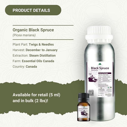 Nature Packaged Organic Black Spruce Essential Oil from Canada - Black Spruce Essential Oils for Candle Scent (5mL)