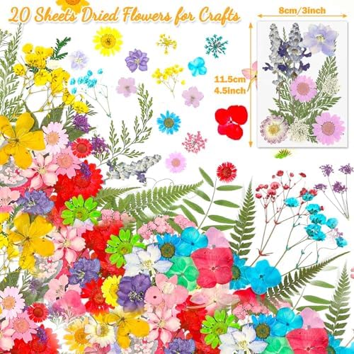 Evatage 200 Pcs Small Dried Pressed Flowers for Resin Crafts - Image 5