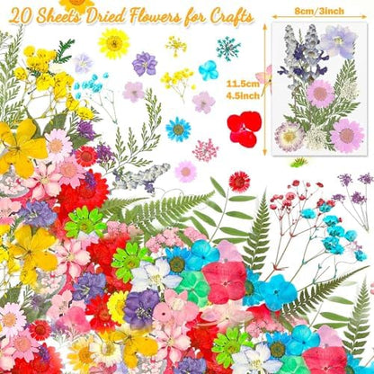 Evatage 200 Pcs Small Dried Pressed Flowers for Resin Crafts - Image 5