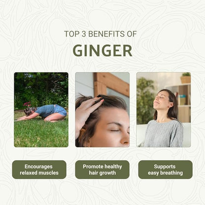 Nature Packaged Ginger Essential Oil - Direct from Bio-Young Aromas - Pure Ginger Oil for Skin - Aceite de Jengibre - Aromatherapy 100% Therapeutic Premium Grade (2lbs)