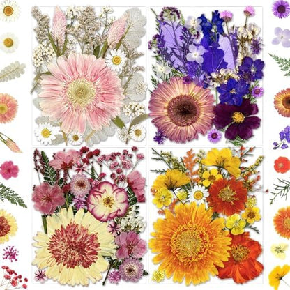 MIKIYA 98Pcs Pressed Dried Flowers for Resin Molds, Real Natural Bulk Big Dry Floral Leave for DIY Art Crafts, Epoxy Jewelry, Candle, Soap Making, Nails Decors by MIKIYA