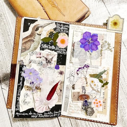 Dried Pressed Flowers Real Pressed Flowers Natural Dry Leaves Bulk Mixed Colorful Herbs Kit with Tweezers for Scrapbooking DIY Candle Jewelry Crafts Making Nails - Image 6