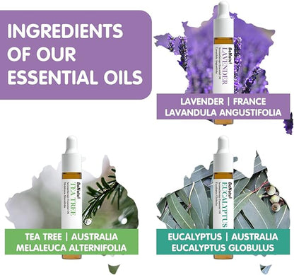 Benatu Essential Oils Set (Tea Tree Lavender Eucalyptus) for Home, Organic Relax Scent Aromatherapy Gift for Women and Men, Natural Fragrance for Skin Care, Body Topical Massage, Diffuser 3 Packs