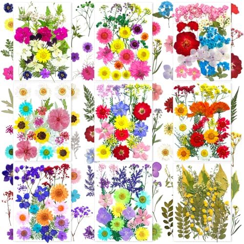 MIKIYA 192Pcs Dried Pressed Flowers for Resin, Assorted Real Natural Bulk Dry Floral Leaves for DIY Art Crafts, Epoxy Molds, Jewelry, Soap, Candle Making, Nails Decors by MIKIYA