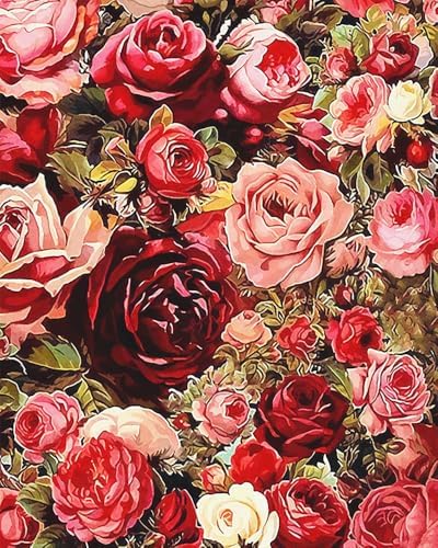 ZRIZQ Flowers Paint by Numbers Kit for Adults Beginner,Roses,16x20 by ZRIZQ