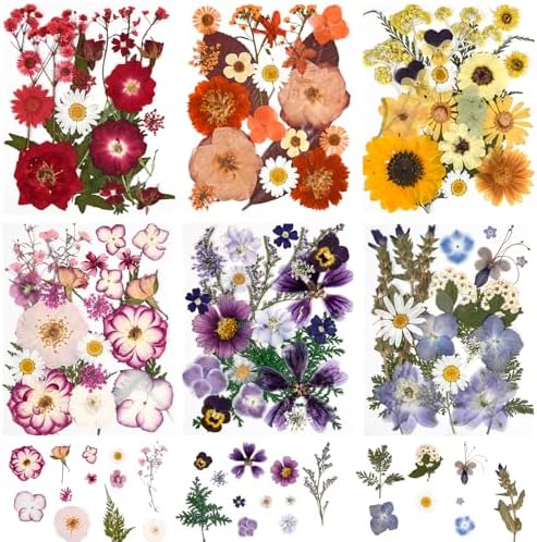 9 Packs of 200 Pressed Dried Flowers and Leaves for DIY Crafts - Image 2