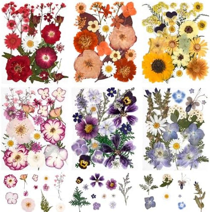 9 Packs of 200 Pressed Dried Flowers and Leaves for DIY Crafts - Image 2