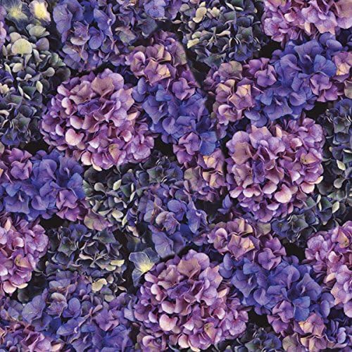 Paper Wishes – 12x12 Bulk Paper Collection | Unique and Fun Papers for Scrapbooking, Cardmaking, Gifts and All of Your DIY Crafting, Art and Creative Projects - Inspiration at Your Fingertips by PaperWishes