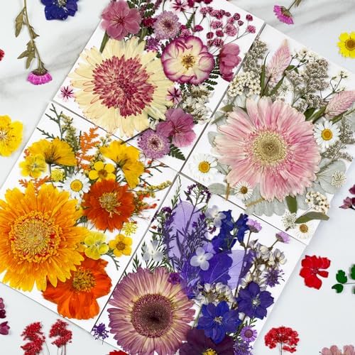 MIKIYA 98Pcs Pressed Dried Flowers for Resin Molds, Real Natural Bulk Big Dry Floral Leave for DIY Art Crafts, Epoxy Jewelry, Candle, Soap Making, Nails Decors - Image 3