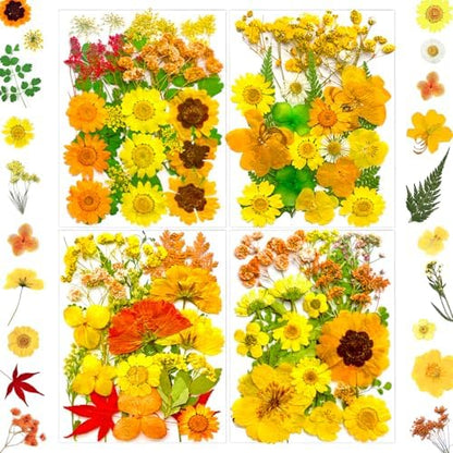 MIKIYA 88Pcs Yellow Pressed Dried Flowers for Resin Molds, Real Natural Bulk Dry Floral Leaves for DIY Art Crafts, Epoxy Jewelry, Candle, Soap Making, Nails Decors by MIKIYA