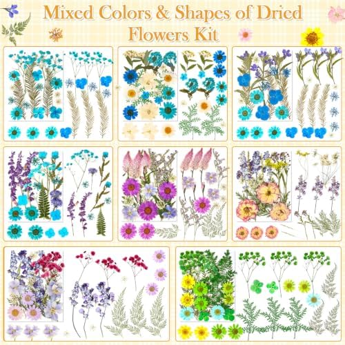 470 PCS Pressed Flowers for Crafts, Real Natural Dry Flowers with Tweezers Dried Pressed Flowers Dry Leaves Bulk for Resin, Scrapbook, Jewelry, Card, Candle & Soap Making - Image 5