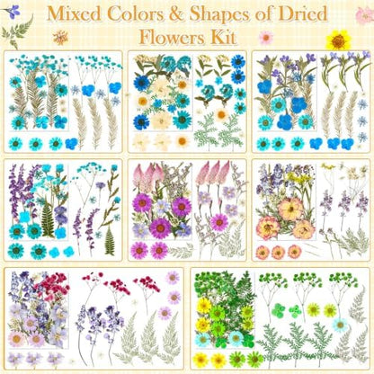 470 PCS Pressed Flowers for Crafts, Real Natural Dry Flowers with Tweezers Dried Pressed Flowers Dry Leaves Bulk for Resin, Scrapbook, Jewelry, Card, Candle & Soap Making - Image 5