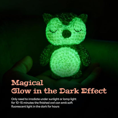 bulingbuling Crochet Kit for Beginners Glow in The Dark Crochet Kits owl, Crochet Starter Kit Great Birthday Gifts for Adults and Teens with Step by Step Video Amigurumi Knitting Kit DIY Craft