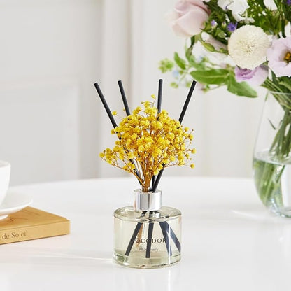 COCODOR Preserved Flower Reed Diffuser/White Jasmine/6.7oz/2Pack / Home Fragrance Scent Essential Oil Stick Diffuser for Bedroom Bathroom Home Decor