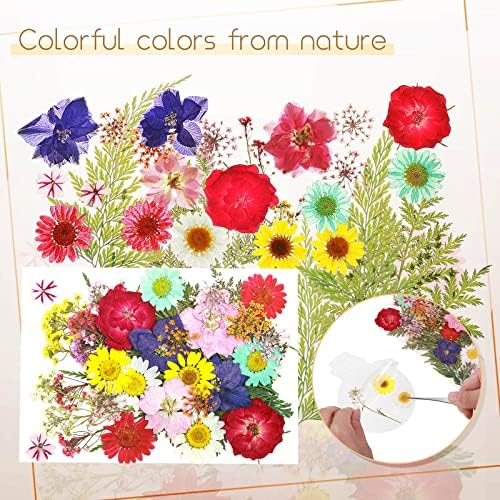 Taobary 91 Pcs DIY Dried Flowers Bookmarks Transparent, Classic Color - Image 4
