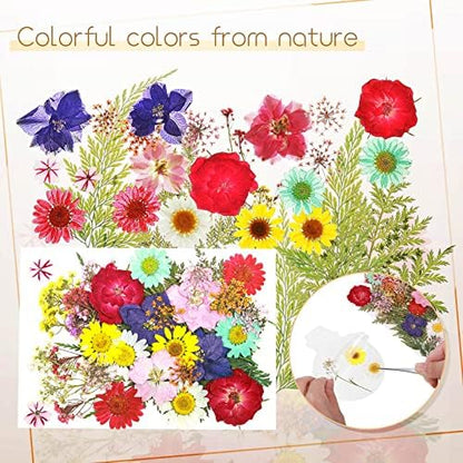 Taobary 91 Pcs DIY Dried Flowers Bookmarks Transparent, Classic Color - Image 4