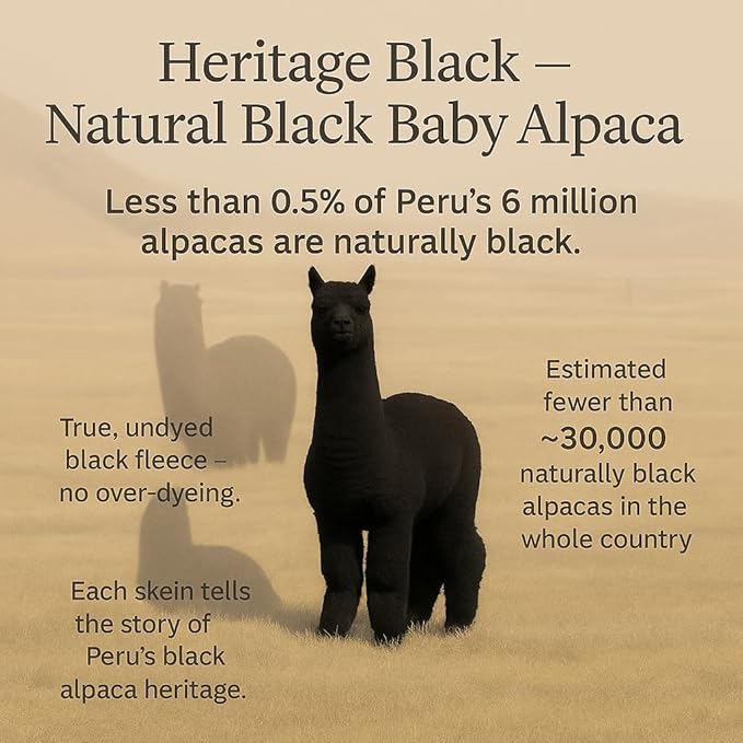 Black Heritage - 100% Baby Alpaca Yarn Wool Set of 2 Skeins (100 Grams) DK Weight Made in Peru Natural Undyed Color Heavenly Soft Perfect for Knitting and Crocheting (Black Alpaca 2 Skeins DK)