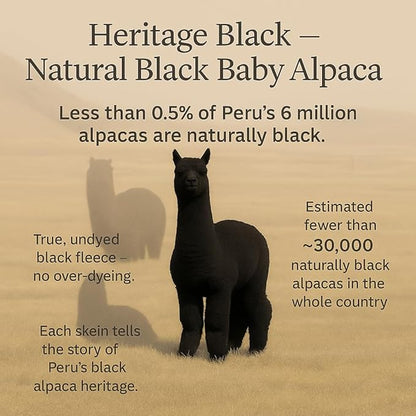 Black Heritage - 100% Baby Alpaca Yarn Wool Set of 2 Skeins (100 Grams) DK Weight Made in Peru Natural Undyed Color Heavenly Soft Perfect for Knitting and Crocheting (Black Alpaca 2 Skeins DK)