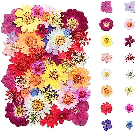 Dried Flowers, Kaluofan 45PCS Real Pressed Flowers, Dried Flowers for Resin Crafts, for Bookmark Resin Scrapbooking Jewelry Crafts Making, Candle and Nails Decoration by Kaluofan