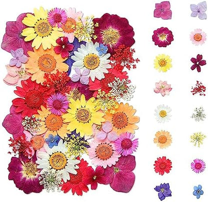 Dried Flowers, Kaluofan 45PCS Real Pressed Flowers, Dried Flowers for Resin Crafts, for Bookmark Resin Scrapbooking Jewelry Crafts Making, Candle and Nails Decoration by Kaluofan