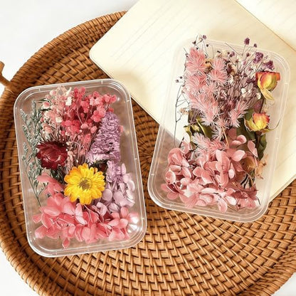 2PCS Dried Flowers Kit, Natural Dried Flowers Kit for DIY Crafts, Scrapbook, Card Making (Style15_28) - Image 3