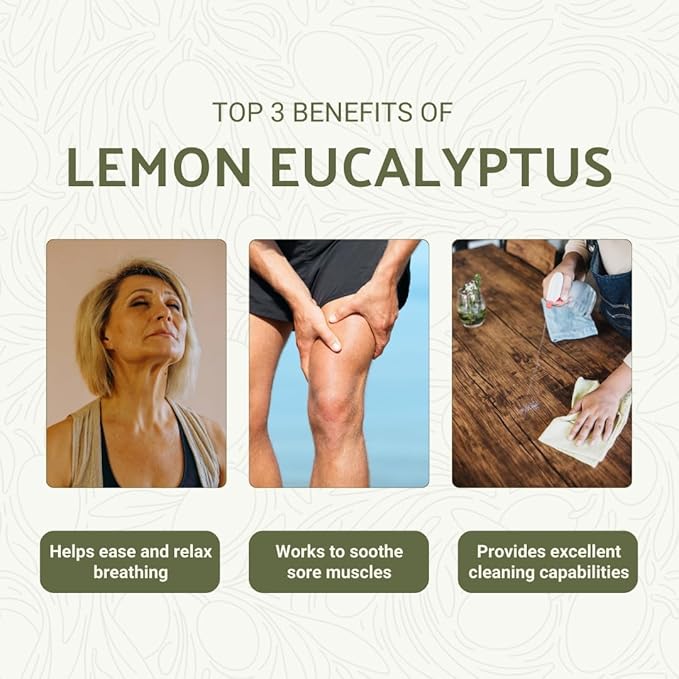 Nature Packaged Lemon Eucalyptus Oil by Eucaliptus from Brazil - Pure Lemon Eucalyptus - 100% Pure Steam Distilled Natural Aceite de Eucalipto Limón - Aromatherapy - Premium Therapeutic Grade (2lbs)