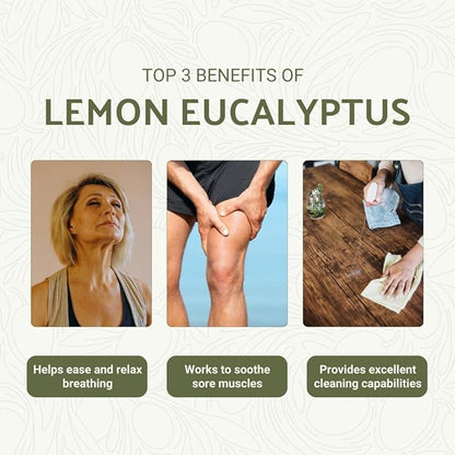 Nature Packaged Lemon Eucalyptus Oil by Eucaliptus from Brazil - Pure Lemon Eucalyptus - 100% Pure Steam Distilled Natural Aceite de Eucalipto Limón - Aromatherapy - Premium Therapeutic Grade (2lbs)