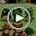 GUOXIAOER 4Pcs Crochet Kit for Beginners, 2026 DIY Craft for Adults, Great Gift for Crochet Lovers, Crocheting Animal Kits with Step by Step Videos,Yarn,Crochet Hook,Birthday Holiday Gift (Crochet B) - Image 7