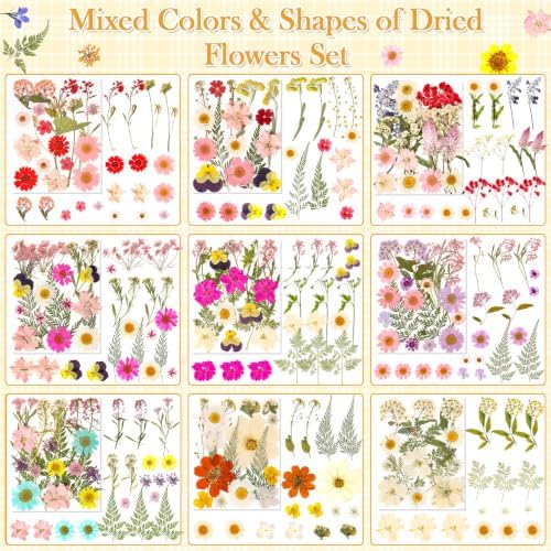 470 PCS Pressed Flowers for Crafts, Real Natural Dry Flowers with Tweezers Dried Pressed Flowers Dry Leaves Bulk for Resin, Scrapbook, Jewelry, Card, Candle & Soap Making - Image 4
