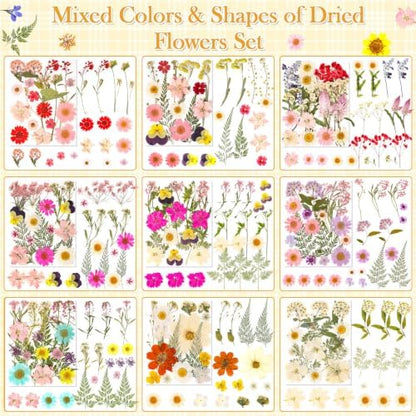 470 PCS Pressed Flowers for Crafts, Real Natural Dry Flowers with Tweezers Dried Pressed Flowers Dry Leaves Bulk for Resin, Scrapbook, Jewelry, Card, Candle & Soap Making - Image 4