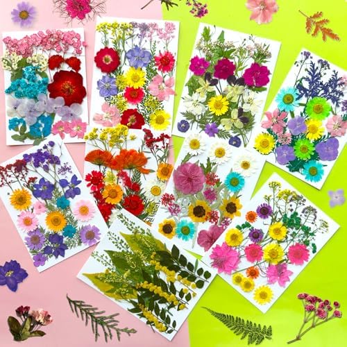 MIKIYA 192Pcs Dried Pressed Flowers for Resin, Assorted Real Natural Bulk Dry Floral Leaves for DIY Art Crafts, Epoxy Molds, Jewelry, Soap, Candle Making, Nails Decors - Image 3
