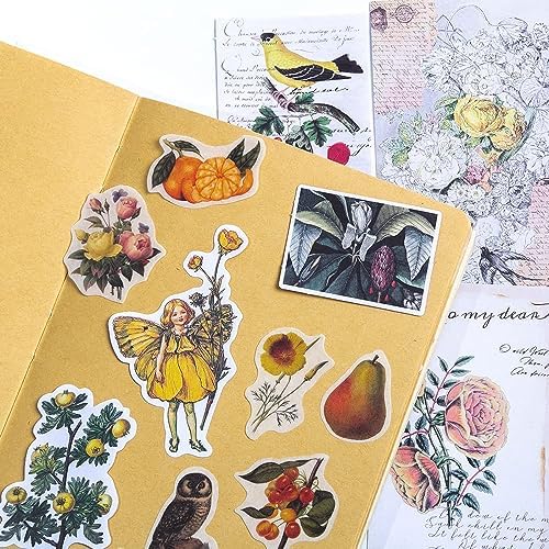 Alideco 200pcs Vintage Scrapbook Stickers Kawaii Fairy Scrapbooking Paper Washi Junk Journaling Supplies Collage Album Aesthetic Cottagecore Picture Frames(Plant Butterfly) - Image 5