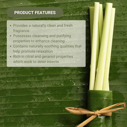 Nature Packaged Lemongrass Essential Oil - Natural Aceite de Hierba Limón from Norex Flavours India - Lemongrass Essential Oils for Hair, Aromatherapy and Massage (2lbs)