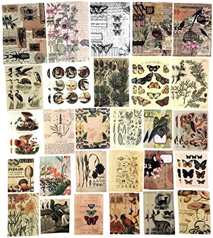 Esweny 200 Pieces Vintage Ephemera Scrapbooking Supplies Pack for Journaling, Decoupage Paper Scrapbook Stickers Kit for Junk Journal Planners Collage Craft Notebooks Album (Forests) - Image 4