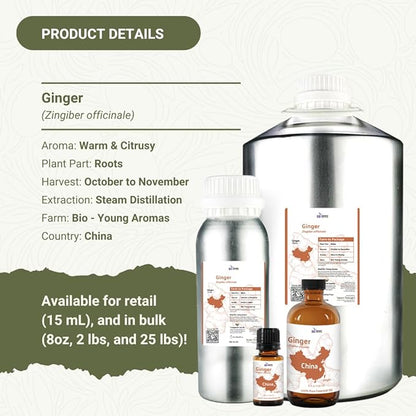 Nature Packaged Ginger Essential Oil - Direct from Bio-Young Aromas - Pure Ginger Oil for Skin - Aceite de Jengibre - Aromatherapy 100% Therapeutic Premium Grade (2lbs)
