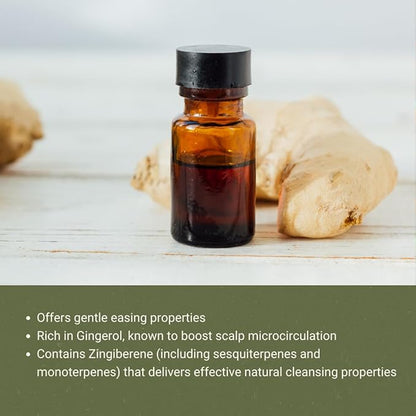 Nature Packaged Ginger Essential Oil - Direct from Bio-Young Aromas - Pure Ginger Oil for Skin - Aceite de Jengibre - Aromatherapy 100% Therapeutic Premium Grade (2lbs)