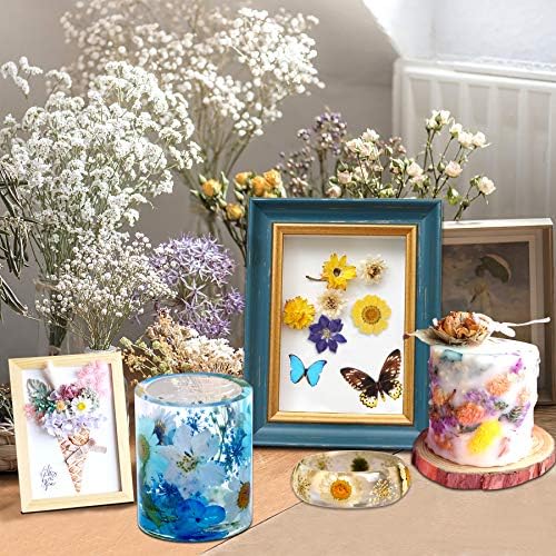 Augshy Real Dried Pressed Flower Set with Butterfly Transparent Stickers Scrapbook Decals Natural Dried Flowers Leaves with Tweezers for Resin Supplies DIY Candle Jewellery Making - Image 5