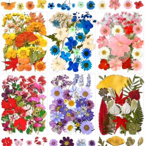 MIKIYA 150Pcs Dried Pressed Flowers for Resin, Assorted Real Natural Bulk Dry Floral Leaves for DIY Art Crafts, Epoxy Molds, Jewelry, Soap, Candle Making, Nails Decors by MIKIYA