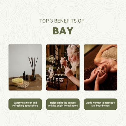 Nature Packaged Bay Essential Oil - Direct from Greece - Steam Distilled - Laurel for Aromatherapy, Massage, Diffuser, DIY Candle and Soap Making - 2lbs