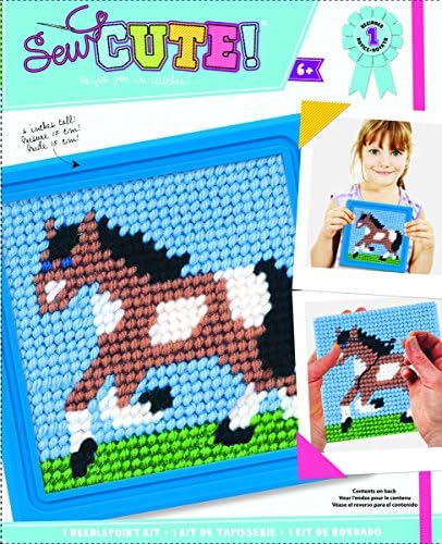 Colorbok Q2342A Horse Learn to Stitch Needlepoint Kit, 6-Inch by 6-Inch, Blue Frame by Colorbok