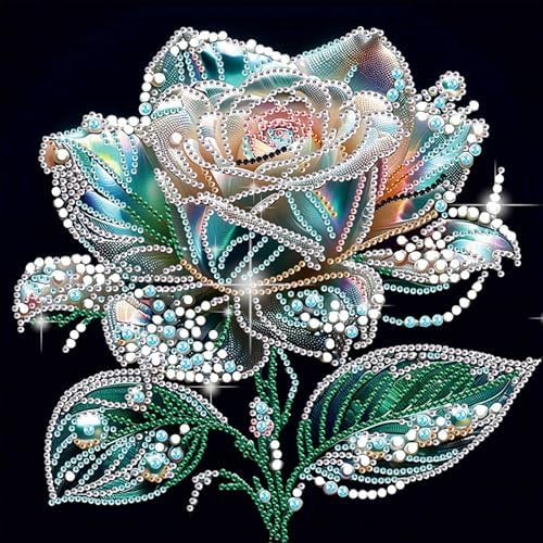 jinglinhh Rose Flowers Special Shaped DIY Diamond Art Painting Kit for Adults Beginners, Partial Drill Crystal Rhinestone Gem Art Craft Home Wall Decor 30x30cm by Unknown