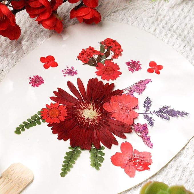 Dried Pressed Flowers for Resin Model, Real Pressed Barberton Daisy Bulk Natural Herbs Kit for Scrapbooking DIY Art Crafts, Epoxy Jewelry, Candle, Soap Making, Nails Decor