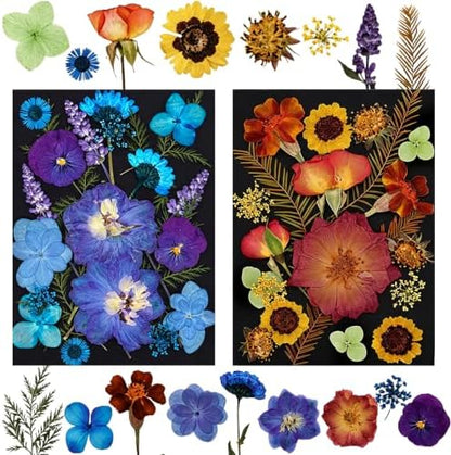 Dried Pressed Flowers for Resin Crafts, Real Dried Flowers and Leaves Kit for Resin Jewelry Molds, Candle & Soap Making, Scrapbooking DIY, Nail Art (Retro) by SOMNINOX