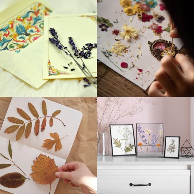 ECOHOME Flower Press Kit for Preserving Plants and Pressed Flowers - Empower Your Creativity with Botanical Art & Craft Supplies to Preserve Cherished Nature Memories