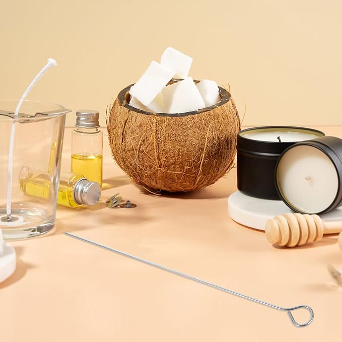 DIYEAH Candle Wick Holders for Candle Making 10Pcs 9.8 Inch Stainless Steel Wick Centering Tools