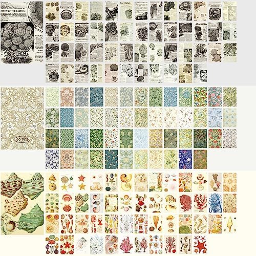 9 Sets 450 Sheets Washi Stickers for Journaling, Plants Fruit Flowers Butterfly Shell Boho Stickers Vintage Aesthetic Scrapbook Sticker for Bullet Journal Art Diary Card Craft Gifts Planner Notebook - Image 3