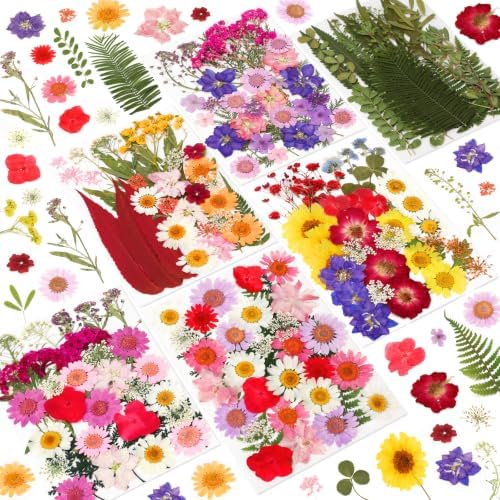 210 Pcs Dried Pressed Flowers for Resin,Real Nature Dried Flowers for Craft by NESCCI