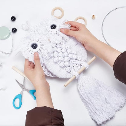 FREEBLOSS DIY Macrame Owl Kit with Instructions Macrame Wall Hanging Ornament Boho Wall Hanging Decor Pure White Macrame Tapestry Gift Macrame Kit for Beginners